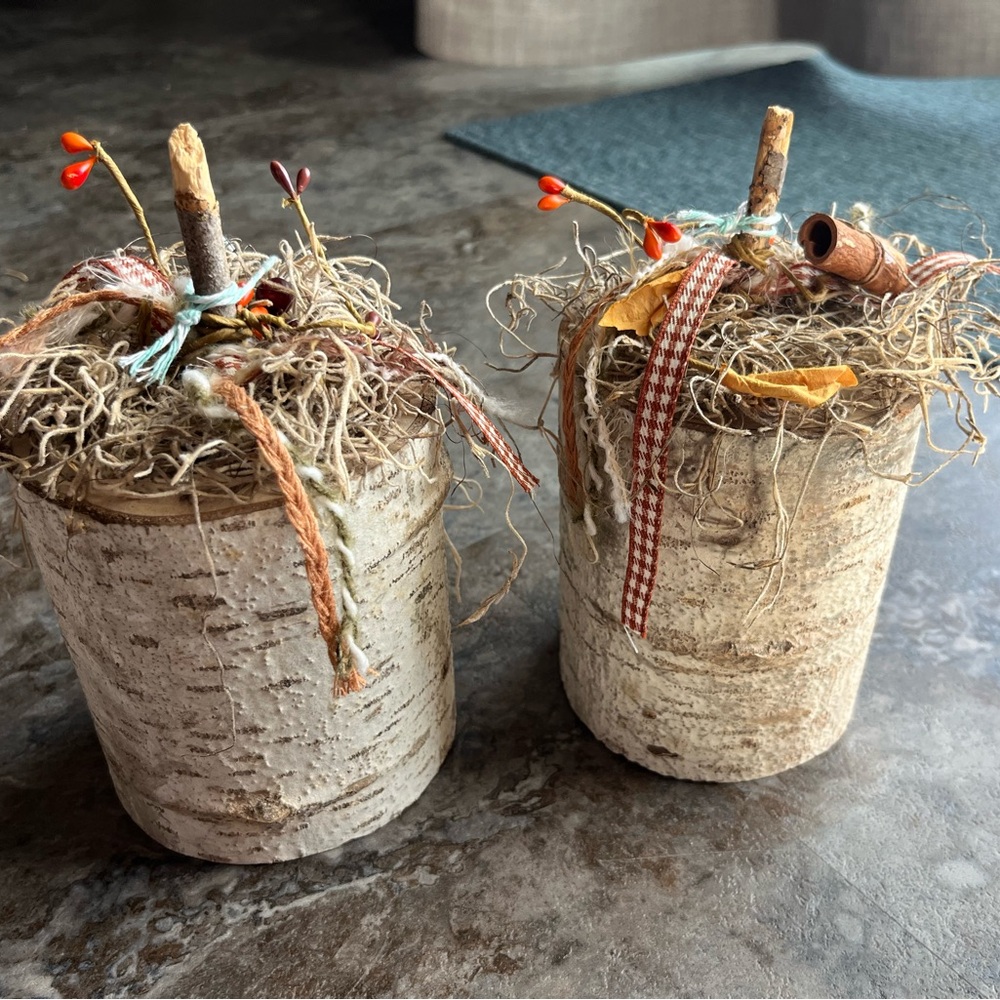 Rustic Birch Bark Fall Decor